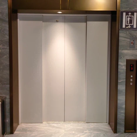 Traction Freight Elevator